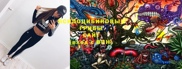 мдма Краснослободск