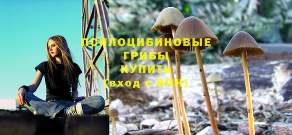 мдма Краснослободск